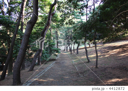 本牧臨海公園 4412872