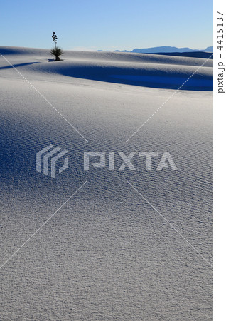 ホワイトサンズ  4415137