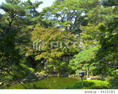 庭園美術館　庭　池　庭園灯 4415281