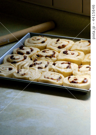 シナモンロール 4415646