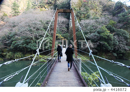 立久恵峡 たちくえきょう 島根県 出雲市 県立自然公園 天然記念物 吊り橋 立久恵峡 たちくえきょう 島根県 出雲市 県立自然公園 天然記念物 吊り橋 4416072