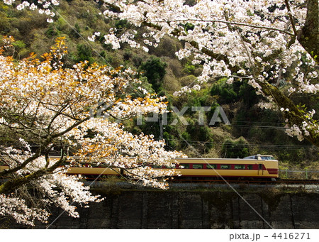 福知山線の183系 4416271