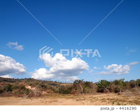 サバンナ サバンナ 4416290