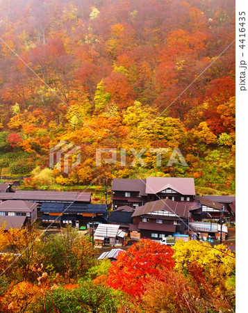 秋田　泥湯温泉の紅葉 4416435