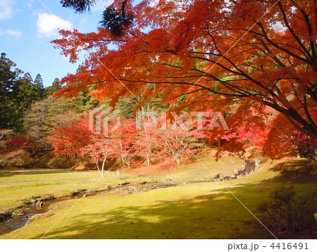 秋の毛越寺 4416491