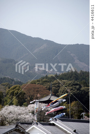 奈良 当麻寺 三重塔 鯉のぼり 奈良 当麻寺 三重塔 鯉のぼり 4416611