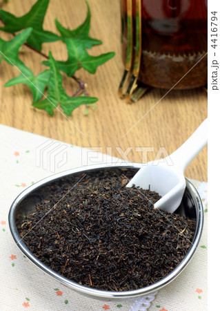 紅茶葉 4416794