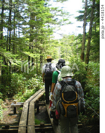 八ヶ岳登山 4418154