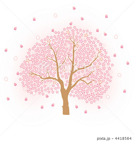 満開の桜の木のイラスト素材