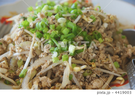 ラープガイ 4419003