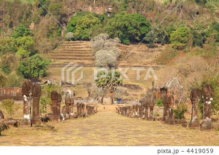 ワット・プー 4419059