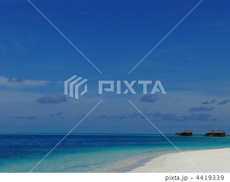 モルディブの海 4419339