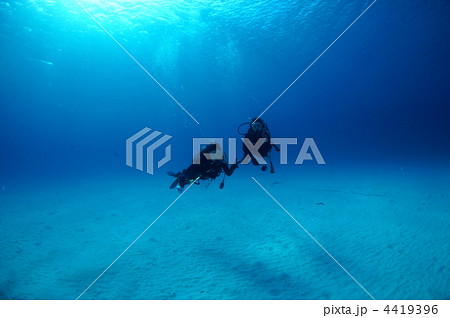 渡嘉敷 渡嘉敷 4419396