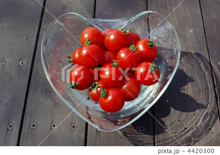 ミニトマトと海岸 4420300