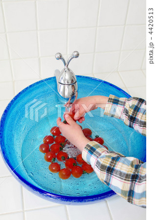 ミニトマトと琉球ガラスのシンク ミニトマトと琉球ガラスのシンク 4420513