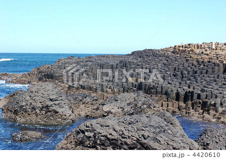 ジャイアンツ・コーズウェイ 4420610