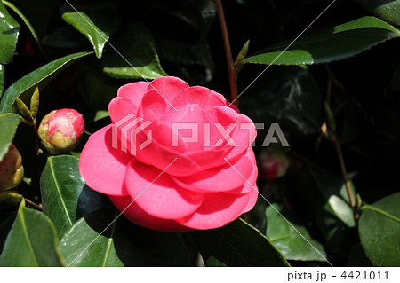 暖かい日に!! 暖かい日に!! 4421011