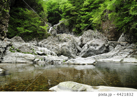 滝上の光景 4421832