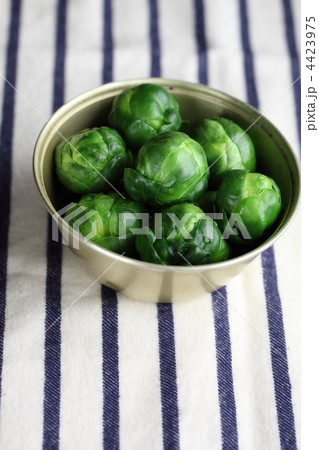 芽キャベツ 4423975