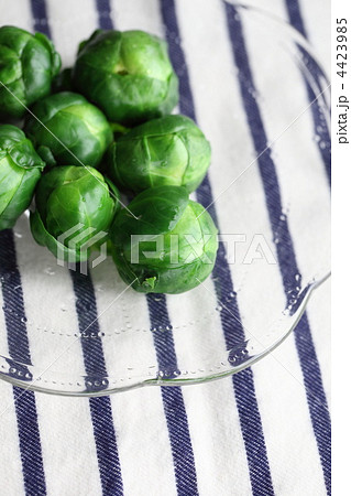 芽キャベツ 4423985