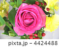 薔薇の花 4424488