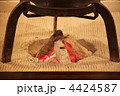 いろりの炭火 4424587