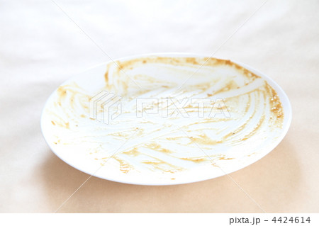 カレーライスを完食した後のお皿 カレーライスを完食した後のお皿 4424614