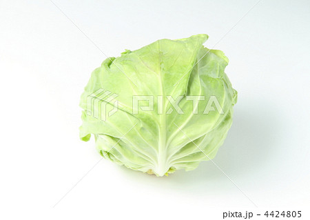 キャベツ 4424805