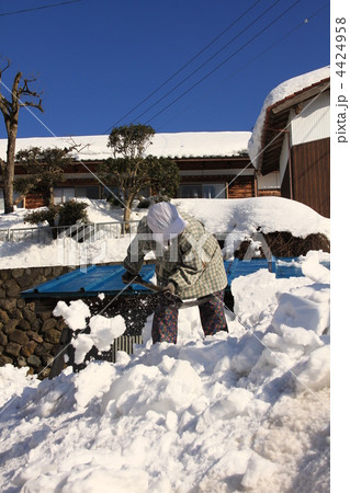 雪下ろしをする老婦人 雪下ろしをする老婦人 4424958
