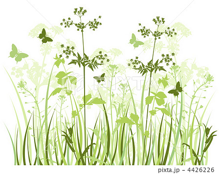 Meadow With Wildflowersのイラスト素材 4426226 Pixta