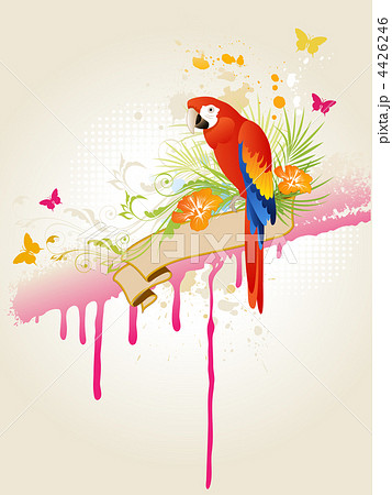tropical summer background 4426246