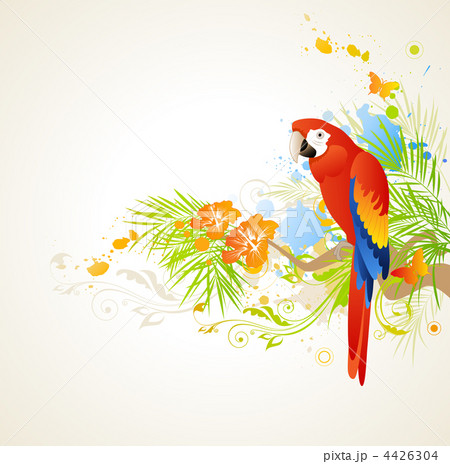 summer background with parrot summer background with parrot 4426304