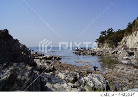 荒崎海岸 4426514