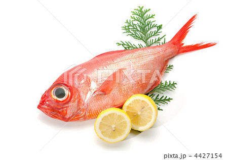 alfonsino, キンメダイ 4427154