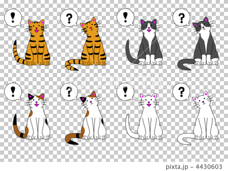 わかった猫とわからない猫4種 4430603