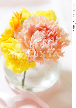 花のプレゼント 4431333
