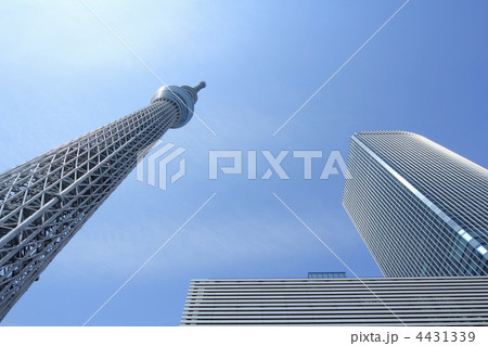 東京スカイツリー 4431339