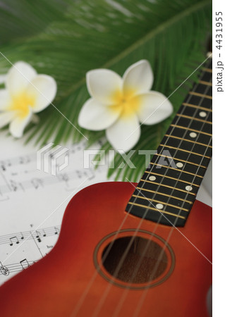 ウクレレ 4431955