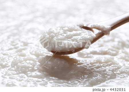 塩こうじ 4432031