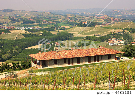 Farmhouse over the hills of Piedmont. 4435181