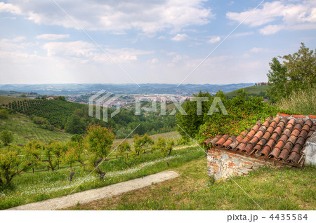 View on hills of Piedmont, Italy. 4435584
