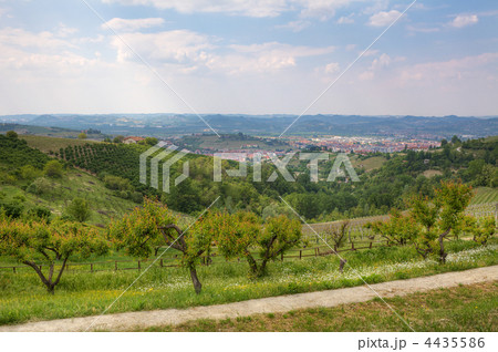 View on Alba among hill in Piedmont, Italy. 4435586