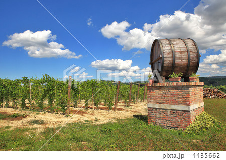 Italian winery. Castiglione Falletto, Northern Italy. Italian winery. Castiglione Falletto, Northern Italy. 4435662