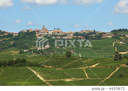 Hills of Piedmont. Northern Italy. Hills of Piedmont. Northern Italy. 4435672