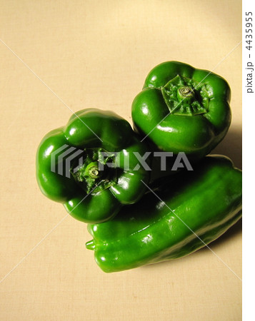 ピーマン 4435955