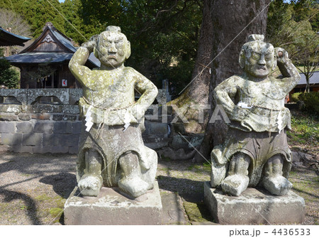 松尾神社仁王像 4436533