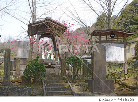 日輪寺遺髪塔 日輪寺遺髪塔 4436558
