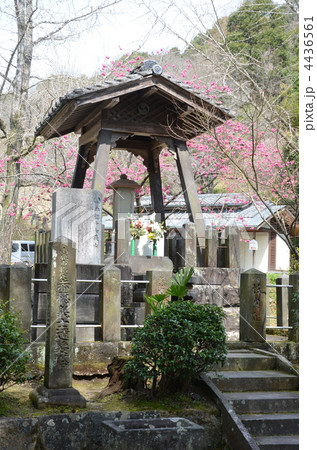 日輪寺遺髪塔 4436561