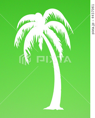 ヤシの木-グリーン 4437061