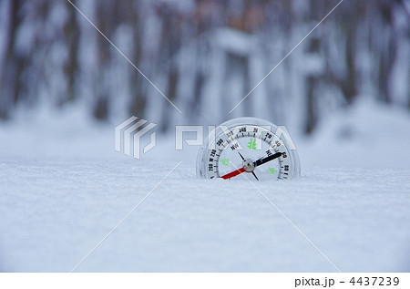 探検ツールと雪の森林 4437239